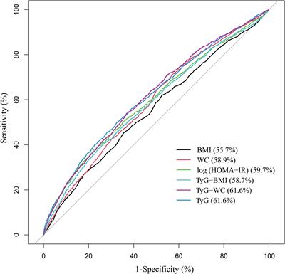 The relationship between triglyceride-glucose index and albuminuria in United States adults